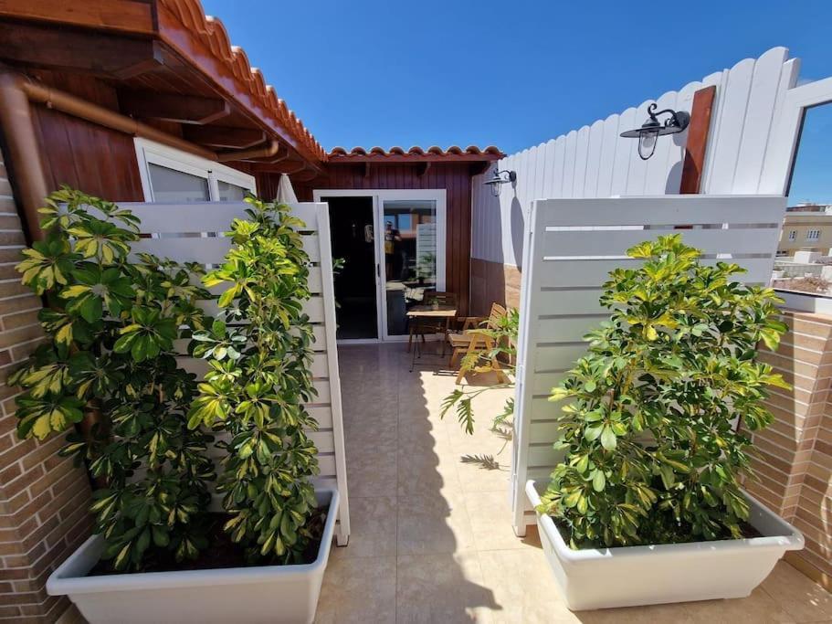 Vintage & Deluxe Apartments Puerto del Rosario  Kültér fotó